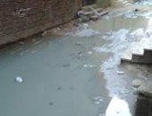 قارئ يشكو انتشار مياه الصرف الصحى بشارع كامل على السبكى بالهرم