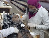 ما الذى يحدث فى مركب خوفو الثانية فى زمن الكورونا؟ الإجابة بالصور