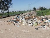 شكوى من تراكم القمامة فى الطريق الواصل بين كفر دميره وقرية دميره مركز طلخا بالدقهلية