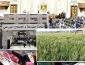 النائب محمد تمراز يطالب بزيادة أماكن تجميع القمح بالتزامن مع بدء موسم الحصاد