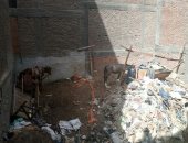 أهالى شارع طه حسين بشبرا الخيمة يشكون انتشار القمامة والرائحة الكريهة