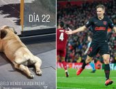 يورينتي نجم أتلتيكو مدريد يطلق على كلبه "أنفيلد" بعد إقصاء ليفربول من الأبطال