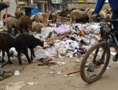 شكوى من انتشار القمامة فى شارع الطالبية بالهرم
