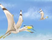 تعرف على طائر التيروصور الذى حلق فى السماء منذ 100 مليون سنة 