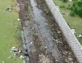 أهالى شارع حمدى الدواوى بدسوق فى كفر الشيخ يطالبون بالصرف الصحى