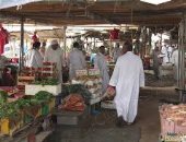السعودية.. أمانة الأحساء تخصص 4 مواقع مؤقتة لأسواق خضار 