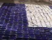 فيديو..لحظة ضبط شحنة حشيش "وعد" بميناء بورسعيد