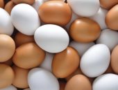 أخبار × 24 ساعة.. طرح "أطباق البيض" فى منافذ وزارة الزراعة الأحد بأسعار مخفضة