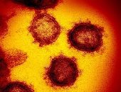 بولندا تبتكر مادة لإبطاء الإصابة بفيروس كورونا