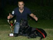 أحمد فهمى ينعى كلبه المفضل: آرثر المحارب افتقدك.. أعز صديق لى