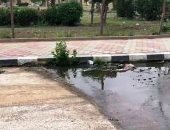شكوى من انتشار مياه الصرف الصحى بمنطقة البنفسج بالتجمع الأول