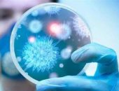 ارتفاع الإصابات بفيروس كورونا فى جنوب أفريقيا إلى 1655 حالة 