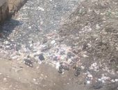  "سيبها علينا".. شكوى من انتشار القمامة بترعة الإخلاص بالطالبية بالجيزة