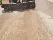 حملة نظافة بشوارع مركز دار السلام بسوهاج وتعقيم الطريق السريع 