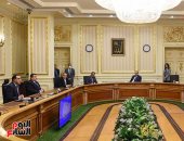 عقل الحكومة.. كيف يفكر مجلس الوزراء فى أزمة كورونا وسيناريوهاتها؟ (فيديو)