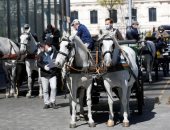 النمسا تستعين بعربات الخيول لتوزيع الطعام على الأهالى أثناء الحجر