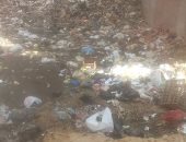 سيبها علينا.. شكوى من انتشار القمامة بقرية الحريدية بسوهاج 