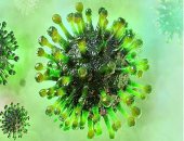 كورونا يحصد المزيد فى دول العالم.. نيويورك تسجل 779 وفاة جديدة خلال 24 ساعة.. و7 وفيات بأوكرانيا و87 بتركيا.. وإسرائيل تعلن ارتفاع عدد الوفيات إلى 73 وبريطانيا لـ7097.. رئيس وزراء إيطاليا: النظام الصحى غير مؤهل