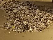 شكوى من انتشار القمامة والأوبئة بمنطقة النهضة فى دار السلام