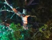 جمعت الناس للصلاة.. صورة "صلب المسيح" على شجرة تكسر الحظر بكولومبيا.. إيه الحكاية