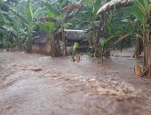 دمار وغرق شوارع بعد إعصار هارولد في جزيرة فانواتو..صور 