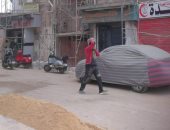 صور.. تطوير منطقة أبو شاهين ورصف شارع شكرى القوتلى بالمحلة