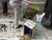 صور.. رئيس مدينة الحسينية يحيل موظفا للتحقيق لإلقائه خضار الباعة على الأرض