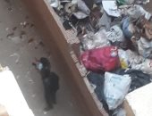 قارئ يشكو فرز القمامة داخل المنازل بشارع يوسف واصف بمنطقة أرض اللواء بالجيزة