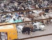 سيبها علينا .. شكوى من انتشار القمامة بشارع الصحابة فى إمبابة