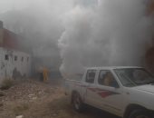  حملات للقضاء على الذباب والحشرات الطائرة بمركز فاقوس فى الشرقية