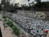 أهالى قرية قهبونة بالشرقية يشكون انتشار القمامة والرائحة الكريهة