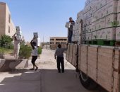 تخصيص ألف كرتونة مواد غذائية للقرى المعزولة بالمنيا وتوزيعها على الأسر