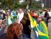 وقفة في ساو بولو بالأعلام والسيارات لرفض إجراءات الحجر الصحي.. فيديو