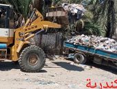 استجابة لـ"سيبها علينا".. الرصد البيئى يرفع القمامة من شارع العروبة بالإسكندرية