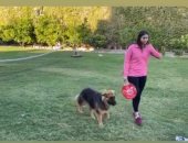 فيديو.. مباراة تنس فى منزل نور الشربيني للتغلب على ملل "كورونا"