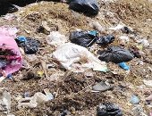 سيبها علينا.. شكوى من انتشار القمامة بعزبه المجد فى البحيرة