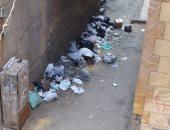 قارئ يشكو تراكم القمامة فى شارع الشيمى بالطالبية فيصل