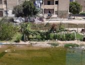 شكوي من تراكم مياه الصرف الصحى بمدينة المستقبل بالاسماعيلية