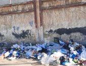 شكوى من انتشار القمامة بشارع مدرسة الريادة بسموحة فى الإسكندرية