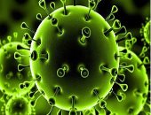 مدينة صينية ترفع مستوى خطر الإصابة بفيروس كورونا بعد ظهور حالات جديدة