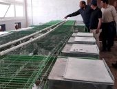 جامعة العريش تقرر التوسع فى انتاج مزارعها استعداد لشهر رمضان