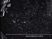 علماء يسجلون فيديو يُظهر كيف يمكن لـ"عطسة" الانتشار مسافة 8 أمتار بالهواء