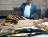 مفتشو الأغذية بالصالحية الجديدة يشنون حملة على مصانع الرنجة قبل شم النسيم 