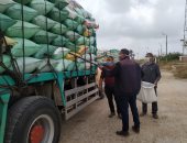 "تموين الإسكندرية": توريد 275 طن قمح إلى الآن ولدينا 4 صوامع