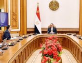 السيسى يوجه بمواصلة الجهود لإعادة المواطنين العالقين حول العالم