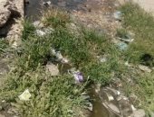 شكوى من سوء الصرف الصحي بقرية الروضة بكفر الشيخ وانتشار الرائحة الكريهة