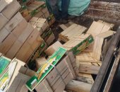 ضبط 5.5 طن فسيخ فاسد بمصانع غير مرخصة بأوسيم والوراق فى الجيزة