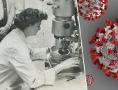 القصة الكاملة لـ"جون ألميدا" أول عالمة فيروسات اكتشفت "كورونا" منذ عام 1964..  رأته تحت المجهر نقطة رمادية مستديرة حولها هالة.. ولم يصدق علماء عصرها أنه فيروس جديد.. وبعد نصف قرن يدرك الجميع أهمية اكتشافها