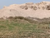 التزام كامل لأهالى شبين القناطر بإجراءات حظر الاحتفال بشم النسيم بالمتنزهات