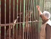 خليك فى البيت وهنفسحك.. بث مباشر من حديقة الحيوان فى شم النسيم